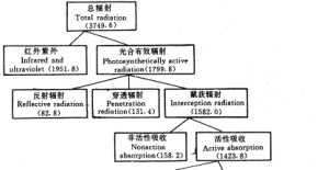 能量流