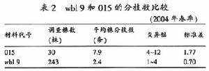 （圖）弱分枝西瓜wbl9