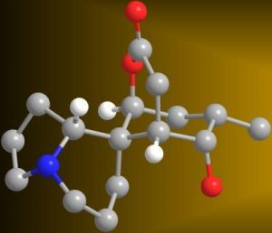 分子三維模型微機系統