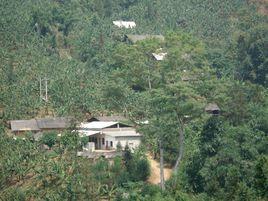 西陽村[雲南省河口瑤族自治縣河口鎮西陽村]