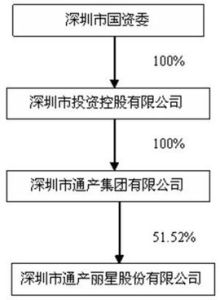 深圳市通產麗星股份有限公司