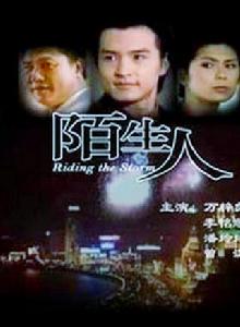 陌生人[新加坡1999年鄧焯華執導電視劇]