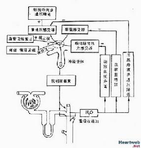 抗利尿激素分泌異常綜合症