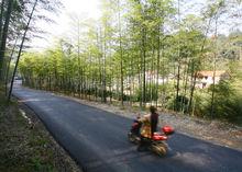 南北莊[湖州市安吉縣遞鋪鎮南北莊村]