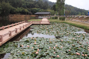 同沙生態公園