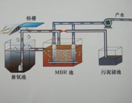 生物預處理