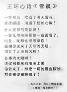 王環心詩抄