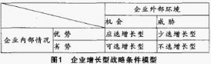 增長型戰略的決策模型