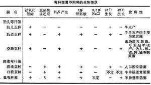 彎曲桿菌屬