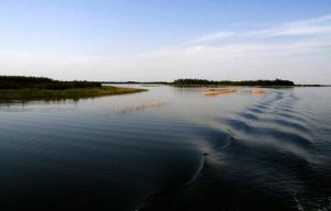 衡水湖濕地