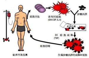 大坪醫院細胞生物治療中心