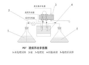 高電壓脈衝電場浸提技術