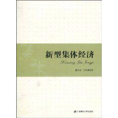 新型集體經濟[2010年上海財經大學出版社出版的圖書]