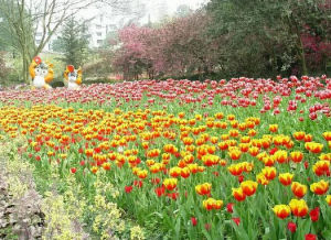 重慶花卉園