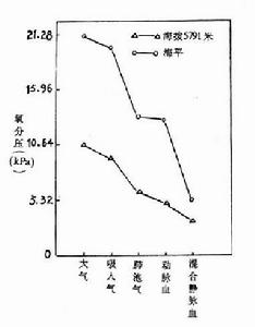 高原心臟病