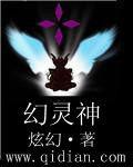 幻靈神[真炫幻所著異界大陸類小說]