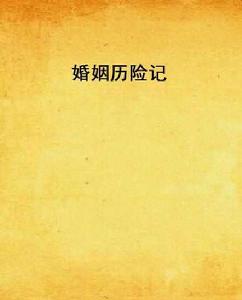 婚姻歷險記[小說]