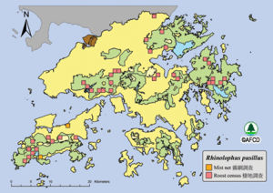 菲菊頭蝠的香港分布地圖