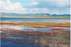 甘南達爾藏湖