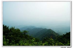 鬱鬱蒼蒼大悟山