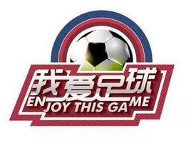 2015“我愛足球”中國足球民間爭霸賽