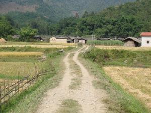 入村道路