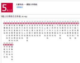 德州公交5路