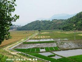 定慧寺[湖北省麻城市定慧寺]