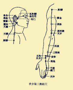 手少陽三焦經