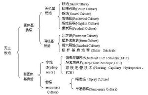 無土栽培分類