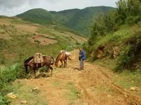 出、入村山路