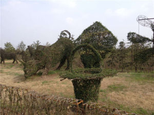 寧波植物園