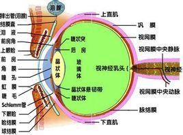 葡萄膜炎