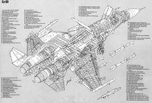 蘇-33剖視圖
