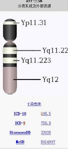 XYY染色體綜合徵