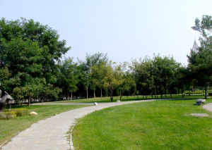 藥山公園