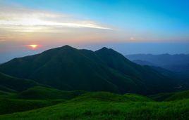 高山草甸