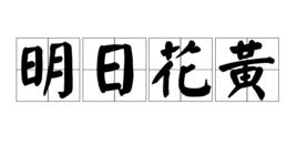 明日花黃[漢語詞語]