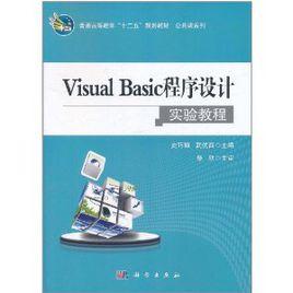 Visual Basic程式設計實驗教程[科學出版社2011年版圖書]