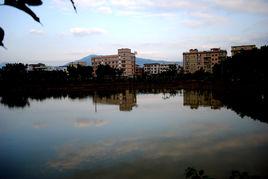 陳巷鎮[福建省長泰縣陳巷鎮]