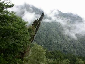 阿里山風景區