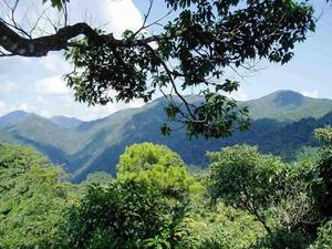 山東留山古火山國家森林公園