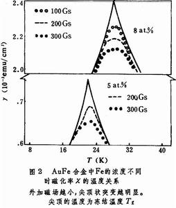 自旋玻璃