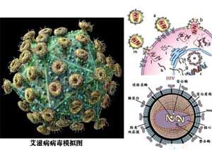 巨細胞病毒感染