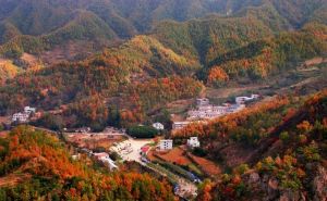 養子溝村