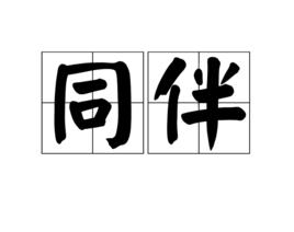 同伴[漢語詞語]