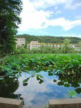 觀音湖[福建農林大學觀音湖]