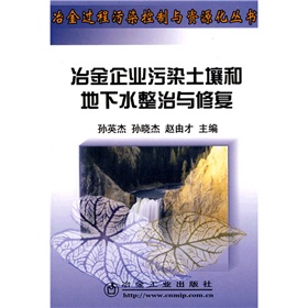 冶金企業污染土壤和地下水整治與修復