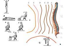 不同體位對腰椎的壓迫