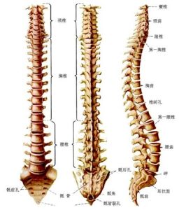 腰椎退行性變